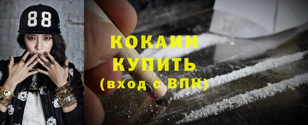 мдпв Бронницы