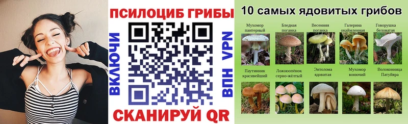 Галлюциногенные грибы GOLDEN TEACHER  магазин  наркотиков  Юхнов 