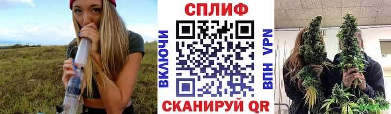 мориарти какой сайт  магазин продажи наркотиков  Юхнов  Шишки марихуана Amnesia 